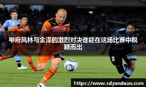 3377体育官网